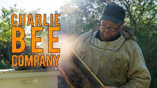 CHARLIE BEE COMPANY Returns To Public Television This September