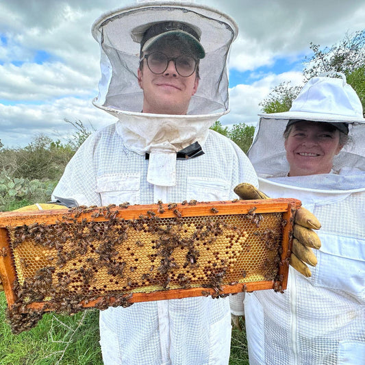 🐝 Introductory Beekeeping Class – A Hands-On Deep Dive into Beekeeping!