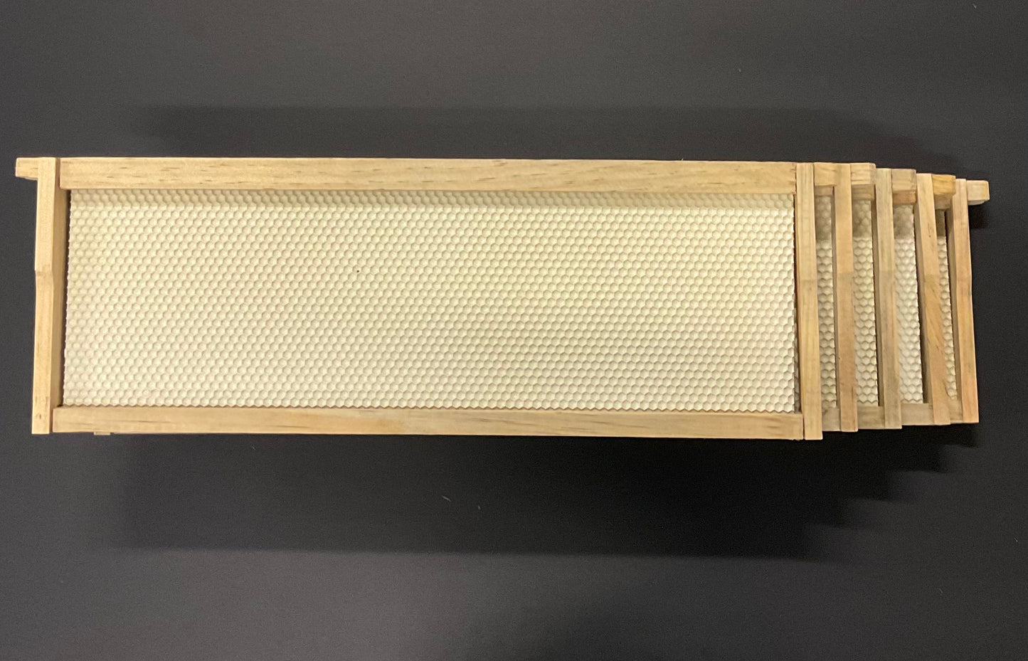 5 Pack Medium Frames w/Foundation