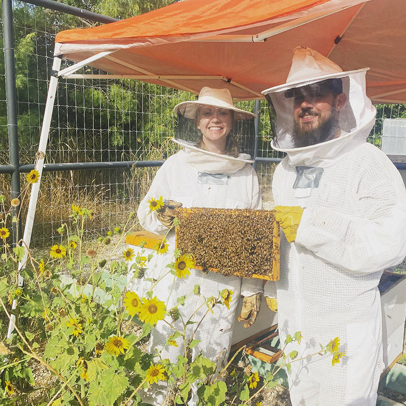 🐝 Bee Tour & Encounter – A Fun and Interactive Beekeeping Experience!
