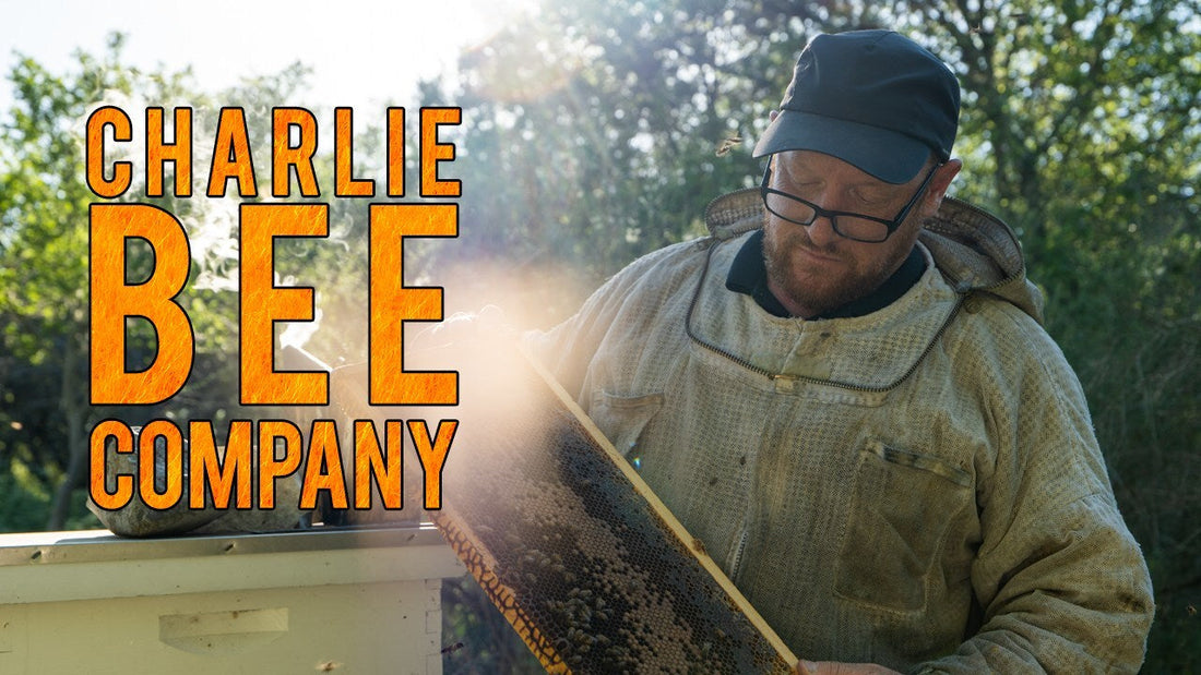 CHARLIE BEE COMPANY Returns To Public Television This September