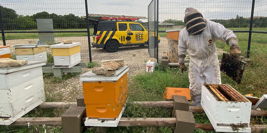 So You Wanna Be a Beekeeper