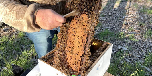 Inspecting for Spring