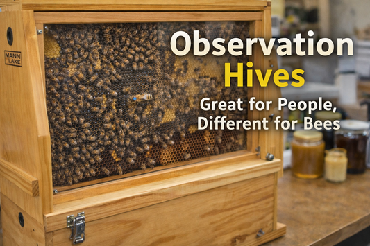 Observation Hives – Great for People, Different for Bees