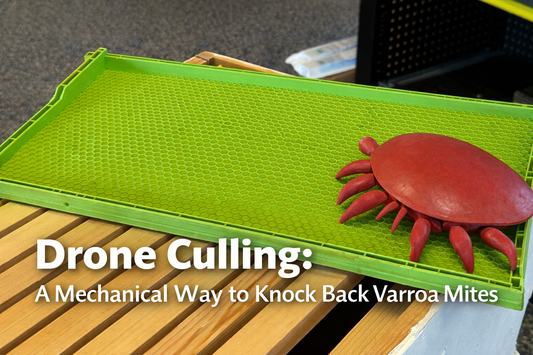 Drone Culling to Kill Mites