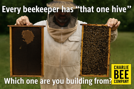 That One Hive - The Weak One Isn’t the Whole Story