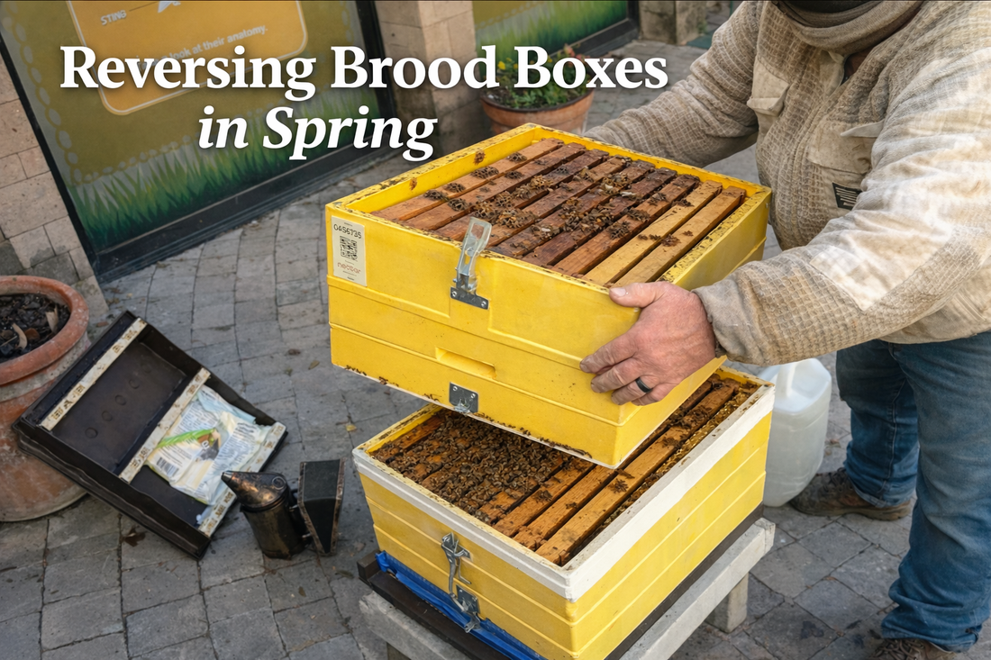 Movin' on Up! Reversing Brood Boxes in Spring