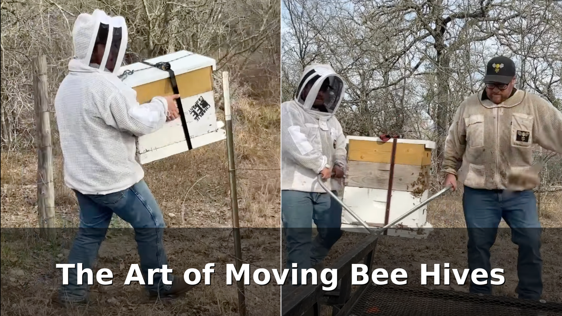 Moving Hives