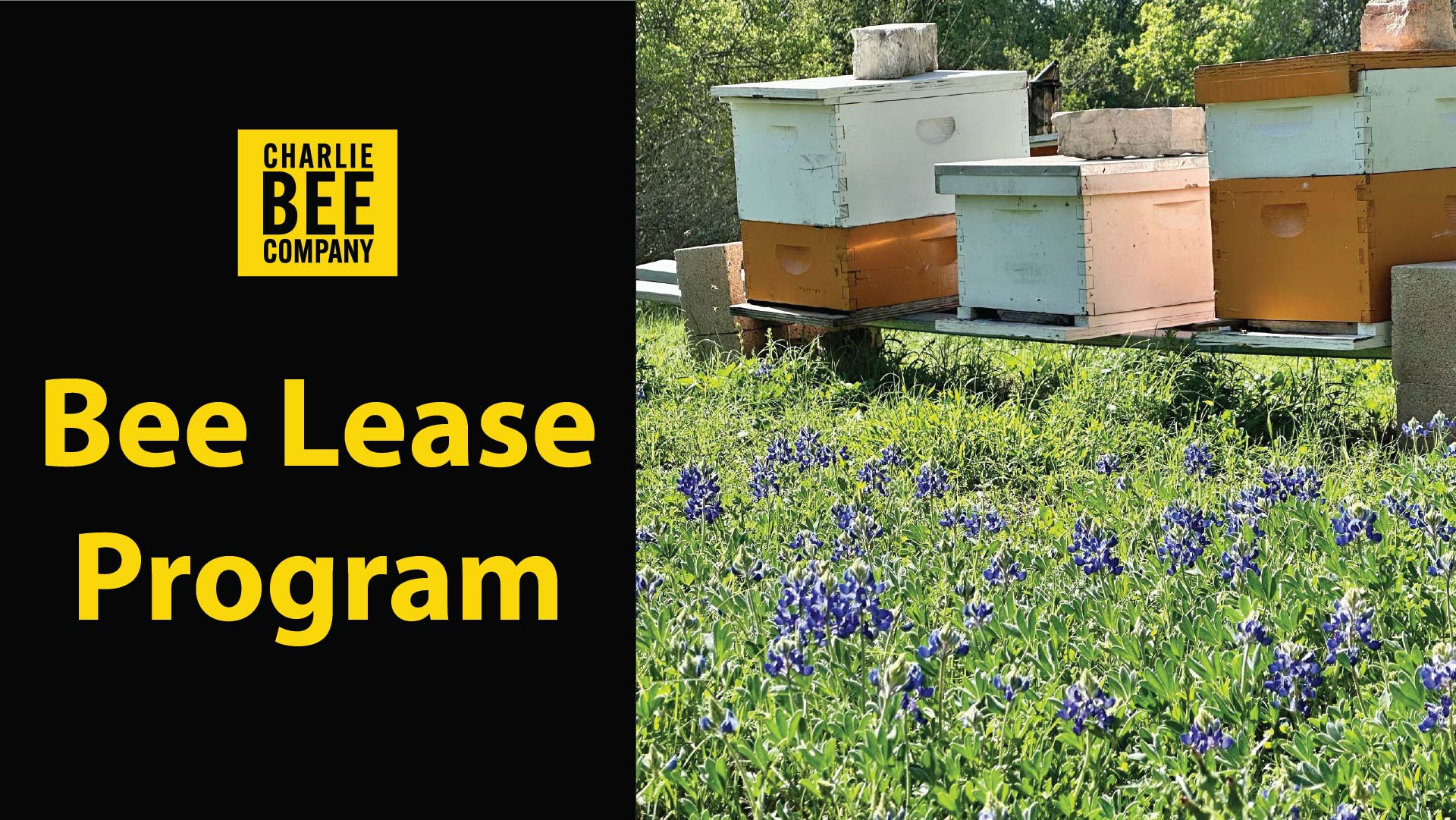 Load video: Charlie Agar with Charlie Bee Company in Seguin, Texas talks about Ag valuation on rural property in texas and how landowners can save money by hiring a beekeeper