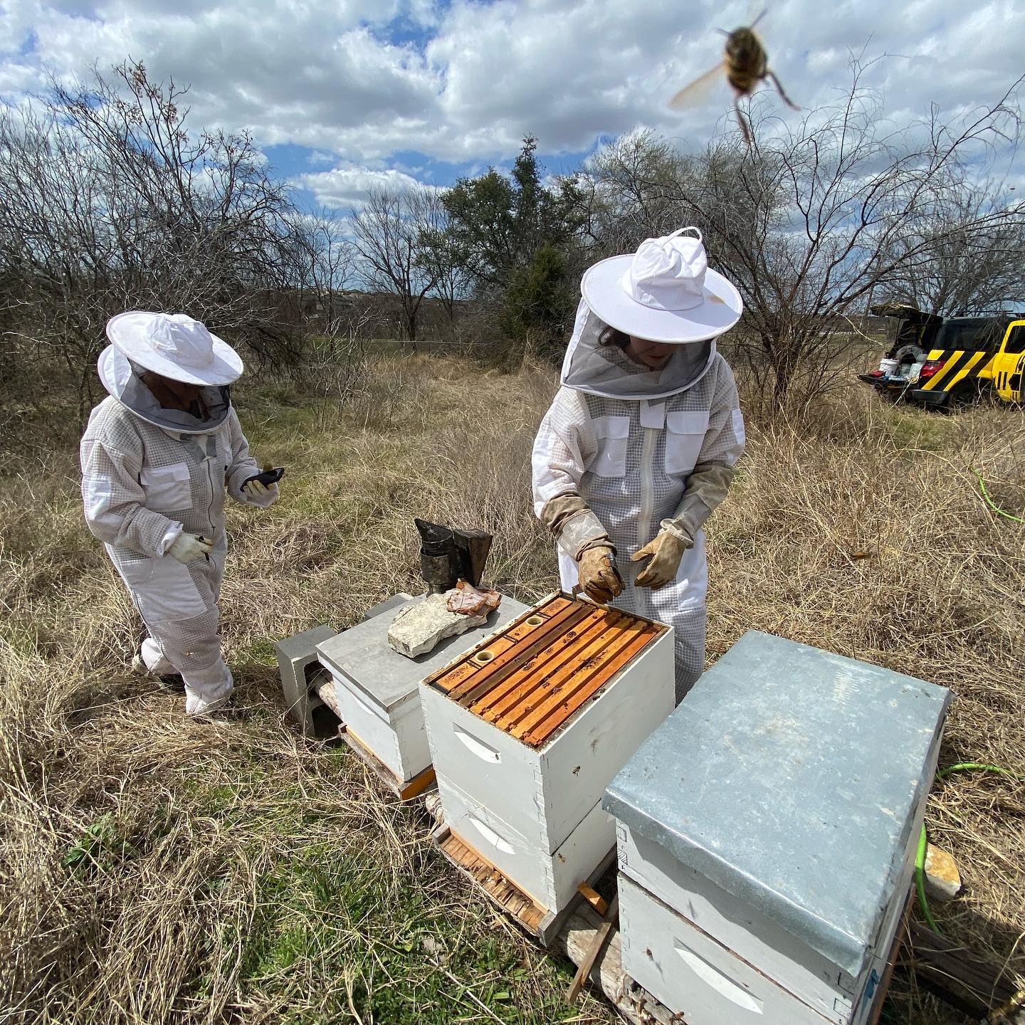 🐝 Introductory Beekeeping Class – A Hands-On Deep Dive into Beekeeping ...