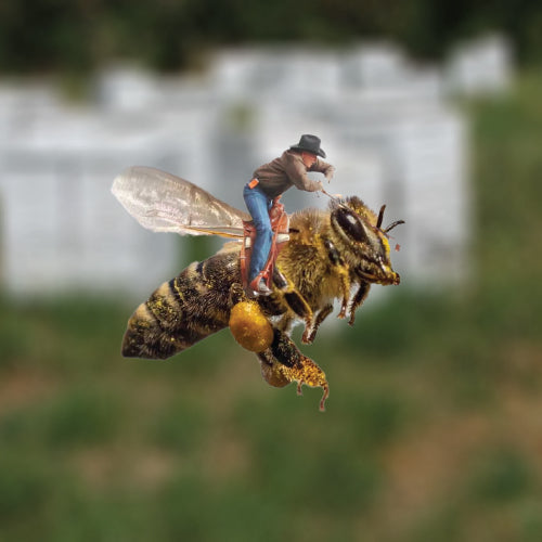 Bees for Ag Talk - Monday, Oct 28 at 7 pm