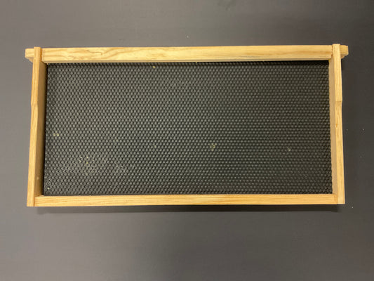 Deep Frame with Black Plastic Foundation