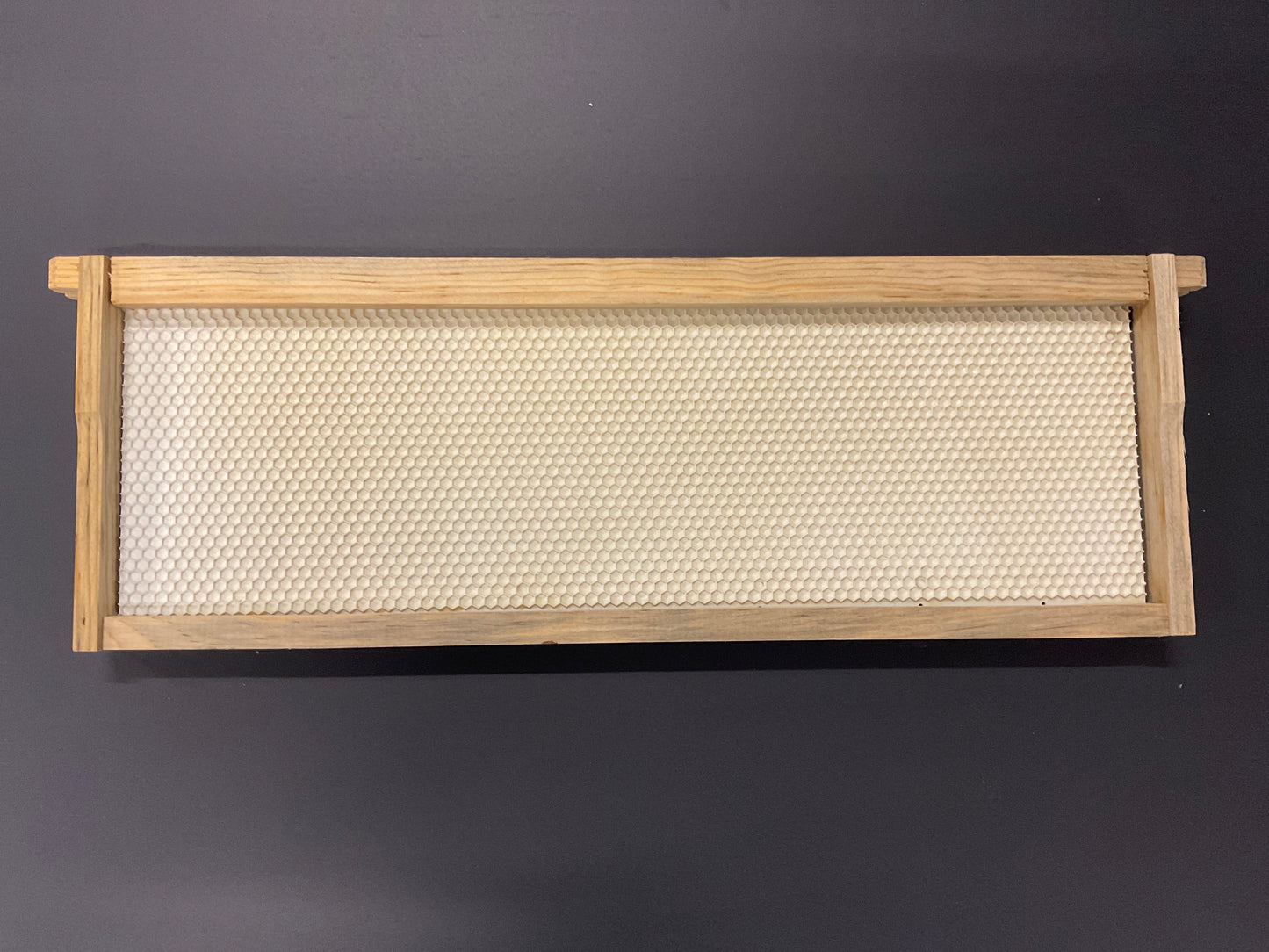 Medium Frame with White Plastic Foundation