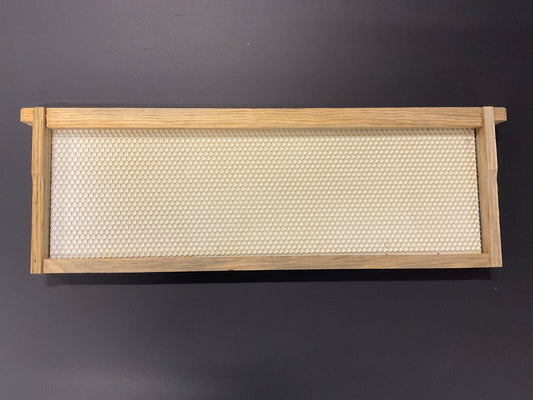 Medium Frame with White Plastic Foundation