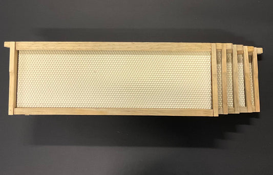 5 Pack Medium Frames w/Foundation