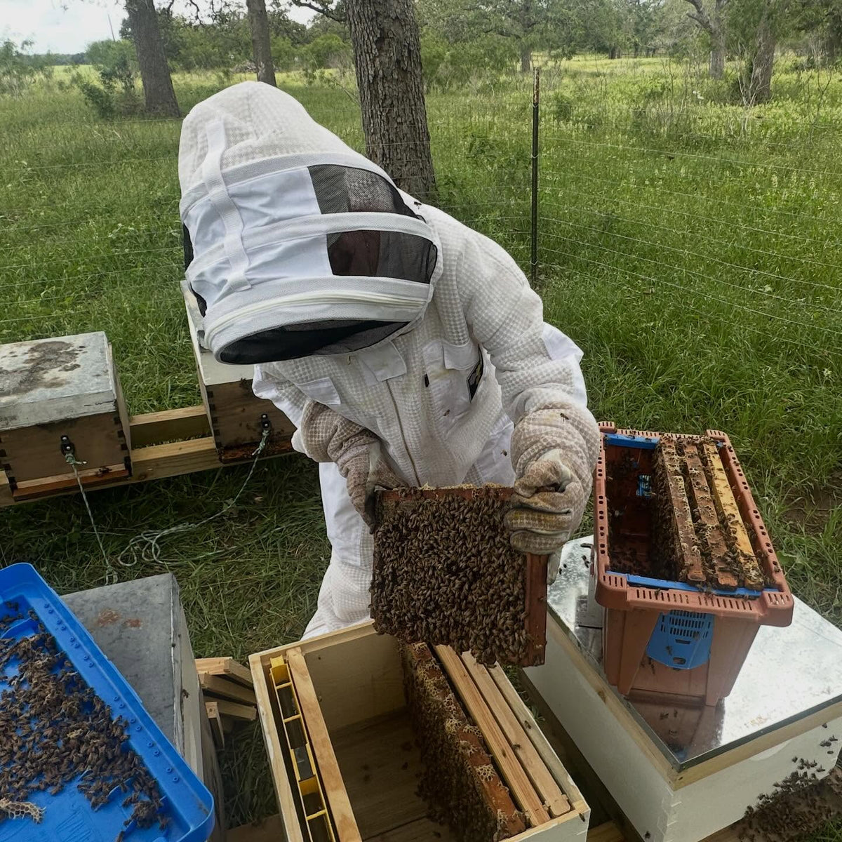 2027 All-In Beekeeping Starter Package — With Nucs