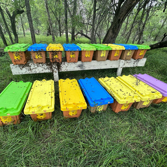 Secure your 2027 "Nuc" Hive of Bees - $150 deposit